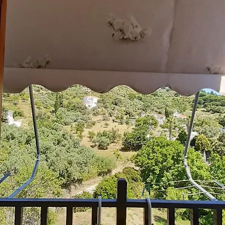 Pansion Platana Maison d'hôtes 3*