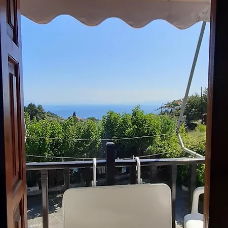 Pansion Platana Glossa