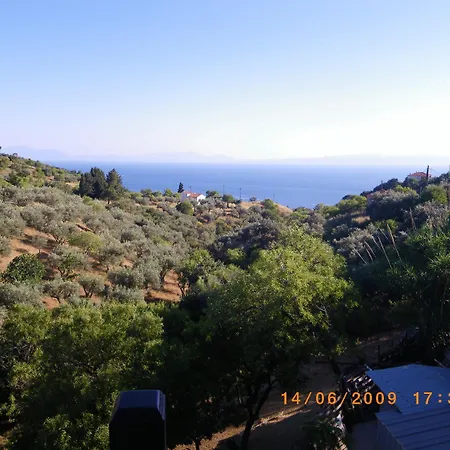 Pansion Platana 3* Glossa