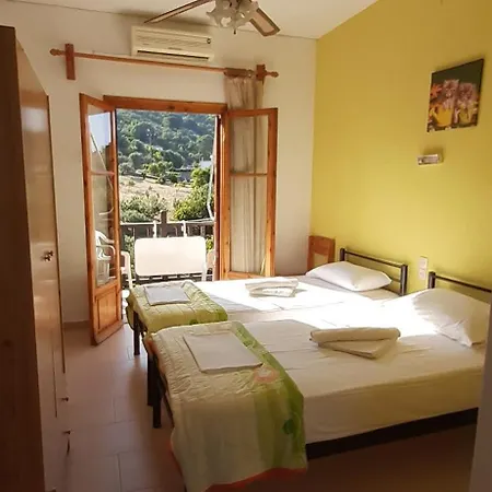 Pansion Platana Glossa