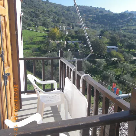 Pansion Platana Glossa