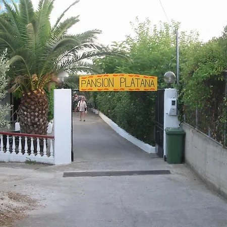Pansion Platana Glossa