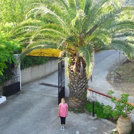 Pansion Platana Guest house Glossa