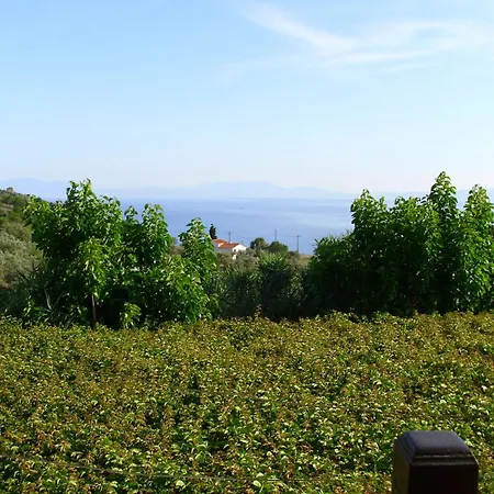 Gasthof Pansion Platana Glossa